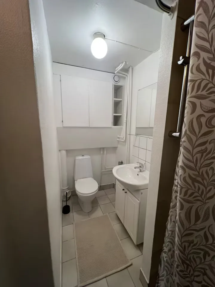 Badrum med WC, handfat och dusch