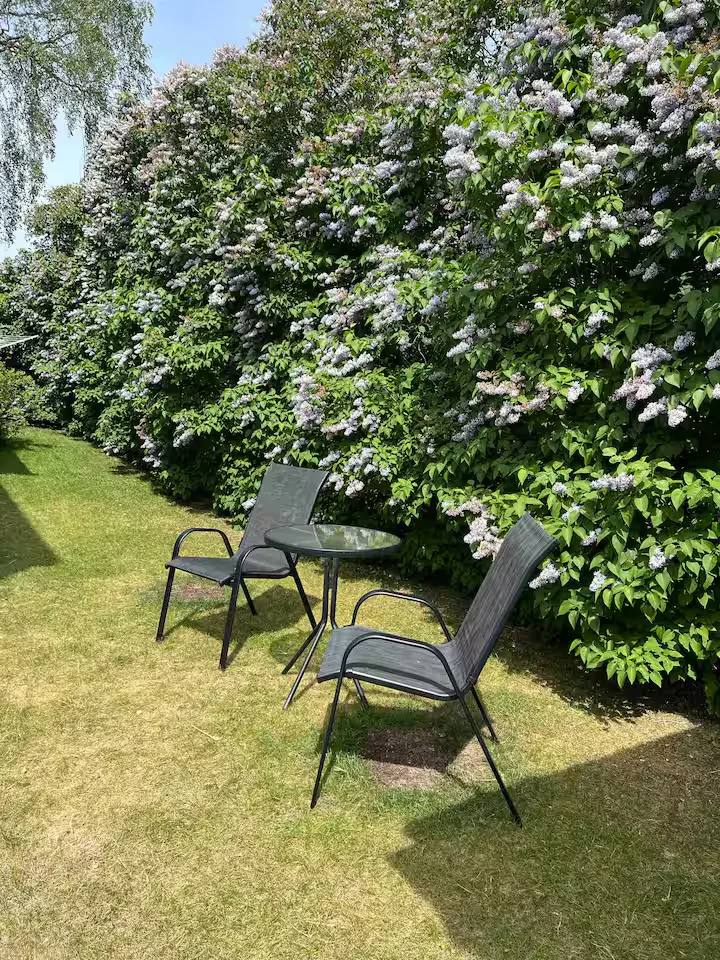 Sittplats i trädgården under blommande syren